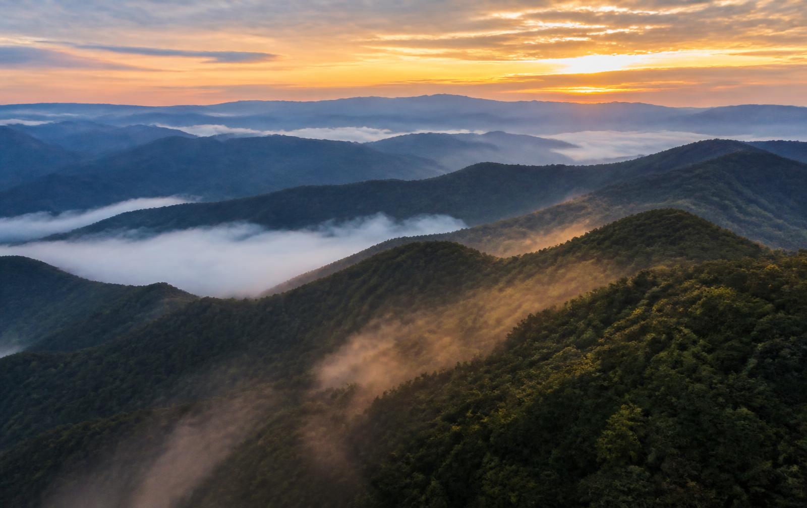 Mist-filled forested mountain ridges at sunrise